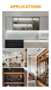 Tira de Luz LED Flexible SMD2835 de 24v 10mm 120leds 2700k 6500k CCT para Decoración Interior de Gabinetes y Techos - Product Image 6