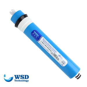 WSD filter air membran 98% 50 gpd, Aksesori pemurni air 12 inci