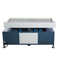 Machine automatique Ledio pour le brossage et le secouage des strass, contrôle PLC, 220V, 0.3-0.5MPA, 2 couleurs, acier inoxydable, 1800*800mm, Hotfix