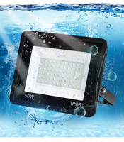 Projecteur LED Étanche IP66 DC 12V 24V 110V 220V, Lampe d'Extérieur Portable 10W 30W 50W 100W 200W 300W