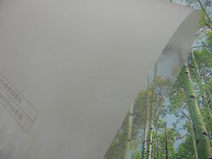 <span class=keywords><strong>Papier</strong></span> de traçage pour feuille de couverture de gâteau de lune imprimé / <span class=keywords><strong>papier</strong></span> de doublure pour plateau de <span class=keywords><strong>four</strong></span> - Product Image 6