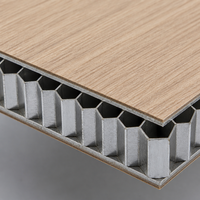Panneau en nid d'abeille en aluminium, design moderne, résistant à l'eau et au feu, anti-rayures, pour cloison de laboratoire et salle blanche, haute planéité, facile à installer