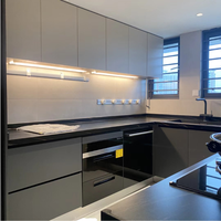 Mobili da Cucina Greige Senza Maniglie con Piano in Quarzo, Elettrodomestici Integrati e Illuminazione LED - Stile Minimalista
