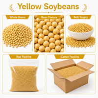Vente Flash Nouvelle Récolte de Soja Jaune Séché en Gros |   Fournisseur en gros de graines de soja brutes naturelles non-OGM pour la production de tofu et de lait de soja