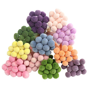 Decoración para el Hogar, Flores Preservadas, Ramo Seco, Bola Dorada, Billy Craspedia, para Decoración de Bodas - Product Image 2