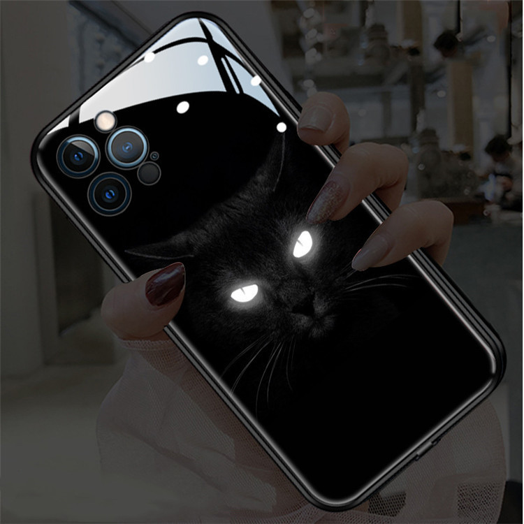 Gatto nero