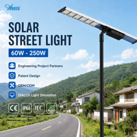 Lampu Jalan Tenaga Surya Anern 60W hingga 250W Bersertifikasi CE RoHS Garansi 5 Tahun Bahan Aluminium Alloy untuk Proyek Tender Jalan Kota