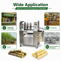Industriële suikerrietenschilmachine 1500W Automatische rietschiller voor fruitwinkels en drankenwinkels