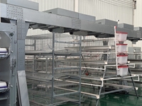 Nouveau système de cages à batterie automatiques pour la production industrielle de poulets, ligne de production de type H en acier inoxydable, facile à nettoyer
