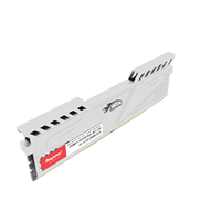 Modules de RAM Faspeed Premium DDR5 4800 MHz 16 Go 288 broches U-DIMM pour mise à niveau de bureau, hauteur 35 mm