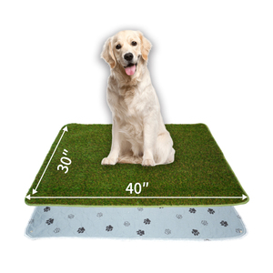 Tapis d'alimentation pour animaux de compagnie, coussinets pour chiens, tapis d'apprentissage pour chiots, coussinets pour animaux de compagnie personnalisés, réutilisables, imperméables et lavables, articles pour chiens - Product Image 1