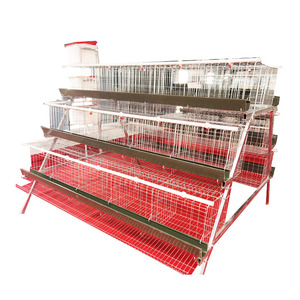 Nouveau poulailler <span class=keywords><strong>de</strong></span> type A 120 poulets avec galvanisation à froid multifonctionnel pour l'élevage <span class=keywords><strong>de</strong></span> poulets pondeuses - Product Image 5