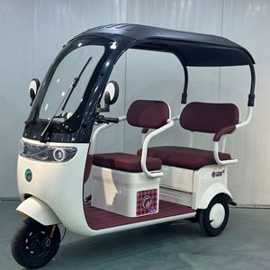 Bon prix, tricycle Sidaner modèle Q5, moyeu arrière sans balais, aluminium, acier inoxydable, batterie au plomb-acide 48V 20Ah 1000W/600W/800W - Product Image 1