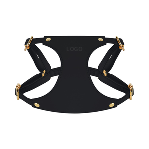 Directo de fábrica, conjunto de correa de arnés de cuero de alta calidad para mascotas, correa de pecho acolchada para perros pequeños y medianos, Collar de perro de moda para gatos - Product Image 3