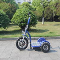 Scooter eléctrico de movilidad de 3 ruedas portátil de la mejor calidad, E-Trike, batería de plomo-ácido de 48V, viaje para discapacitados, modelo de 150kg, 2017