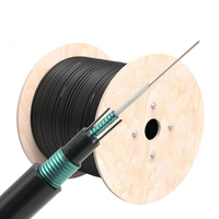 Câble à fibre optique blindé extérieur CST, fourni par l'usine, 2, 4, 6, 8, 12, 24 fibres, monomode, 2 km, 4 km