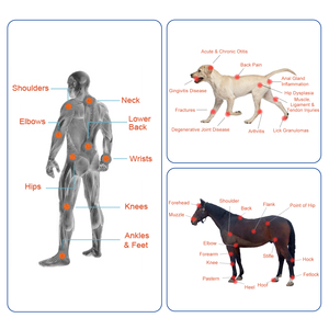 Dispositivo de Terapia Láser Frío de 15W y 980nm para el Hogar, para el Alivio del Dolor de Neuropatía Periférica en Caballos y Tratamiento en Humanos - Product Image 5