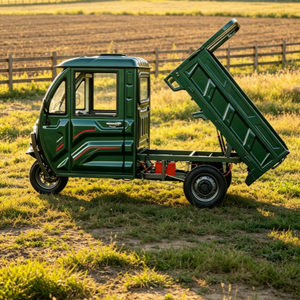 Triciclo Cargo con Cabina Integrata in Lamiera, Certificazione EEC COC, Dotato di Motore ad Alta Potenza 72V 1500W - Product Image 1