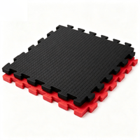 Tapete de Espuma EVA de 100x100cm, Impermeable, Antideslizante, Absorbente de Impactos, Tapete para Gimnasio, Grueso y Duradero, Venta al Por Mayor Directo de Fábrica