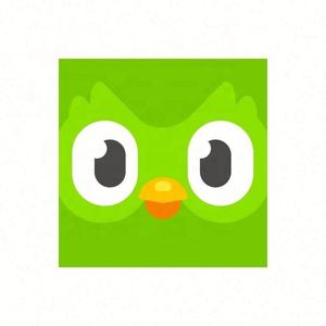 Cuenta Premium Duolingo Pro 1 Año, Activa Tu Propia Cuenta, Aplicable Globalmente en Todo el Mundo - Product Image 3