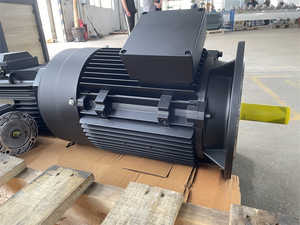 เครื่องกำเนิดไฟฟ้ากระแสสลับแบบสามเฟส 15 กิโลวัตต์ 20 แรงม้า 1460 รอบต่อนาที ความเร็วรอบต่ำ มอเตอร์เหนี่ยวนำไฟฟ้าสามเฟส มอเตอร์อะซิงโครนัสสามเฟส - Product Image 4