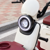 Tricycle électrique à 3 roues, batterie au plomb-acide 60V 32AH, moteur 1000W, autonomie jusqu'à 70 km, idéal pour les visites touristiques