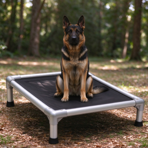 <span class=keywords><strong>Lit</strong></span> de <span class=keywords><strong>chien</strong></span> surélevé gris <span class=keywords><strong>pour</strong></span> animaux de compagnie, surface en PVC imperméable, lavable, adapté aux activités intérieures, extérieures et de jardin - Product Image 2