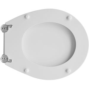 Asientos de Inodoro Premium de Vidrio Roca Polo - Product Image 3