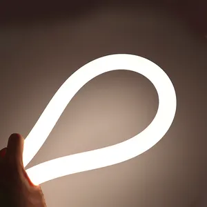 Silikon röhre 360 Grad emittierende LED-Neonst reifen runde Form Durchmesser 22mm wasserdichte LED Neon Flex Licht Anhänger