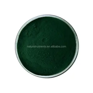 Hot bán số lượng lớn nhà máy protien Chlorella vulgaris chiết xuất Chlorella bột