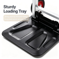 Chariot industriel robuste en aluminium OEM personnalisable à deux roues avec pneus en caoutchouc pleins, garantie 1 an pour outils d'extérieur et usage intensif
