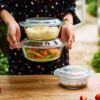 Ensemble de casseroles en verre borosilicate de haute qualité Linuo avec couvercle, deux poignées, diamètre 20 cm, compatible four et micro-ondes, écologique