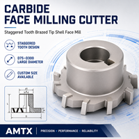 Fraise à face en carbure à dents escalonpées, à pointe brasée, taille personnalisée pour l'usinage CNC des métaux