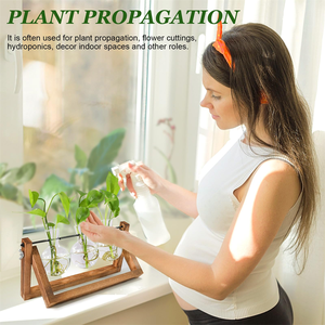 Estación de propagación de plantas Terrario de plantas con soporte de madera Regalos únicos de <span class=keywords><strong>cumpleaños</strong></span> de jardinería <span class=keywords><strong>para</strong></span> mujeres Amantes de las plantas Jarrones de vidrio - Product Image 2