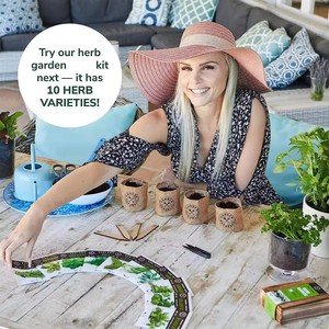 Kit héritage jardin sans OGM basilic thym persil coriandre herbe bricolage Kits de culture Kit de démarrage pour jardin d'<span class=keywords><strong>herbes</strong></span> d'<span class=keywords><strong>intérieur</strong></span> pour débutant - Product Image 3