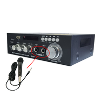 AV20 Dijital FM Radyo Stereo Amplifikatör 20W+20W Çift Mikrofonlu USB Ev Sinema Sistemi