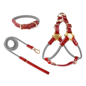 Kunden spezifisches eigenes Logo Personal isiertes Design Nylons eil Haustier halsband Verstellbares Luxus leder Xxl Hunde geschirr und Leinen-Set - Product Image 1