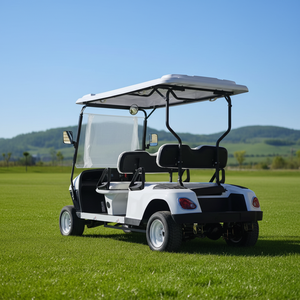 Voiturette de golf électrique 4-6 places avec sièges de luxe pour attraction touristique - Product Image 4
