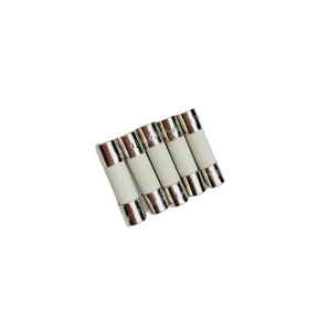 Fusible de cerámica de vidrio T8AH250V T8AL con cable de pin, retardo de corte lento para fuente de alimentación de horno microondas - Product Image 1