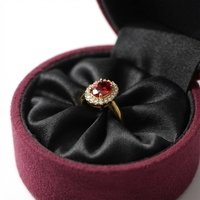 Présentoir à bijoux en velours transparent avec couvercle étanche et fermeture à boucle, support de rangement pour bagues et colliers, boîtes à bijoux – Expédition immédiate