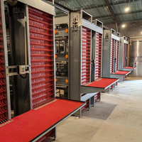 Système de cages à poulets entièrement automatiques de type H pour l'élevage de poules pondeuses en batterie, idéal pour l'Afrique