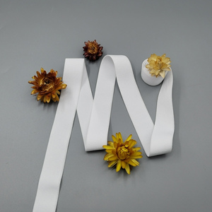 Nylon <b>Webbing</b> Flat Elastic Headwear Strap 10mm-38mm Replacement Panty Underwear Lingerie Dress Fine <b>Webbing</b> Rope HH4K Brand - Product Image 1