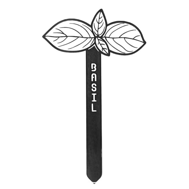 Black (Basil)