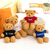 Sweat à capuche en peluche Teddy Bear avec logo personnalisé, cadeau pour événement d'entreprise, avec rembourrage en polyester et coton PP