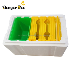 New <b>Polystyrene</b> Single Layer Mating Nuc Hive 3 Frames Queen Bee Mating <b>Box</b> by Menger Bee - Product Image 2