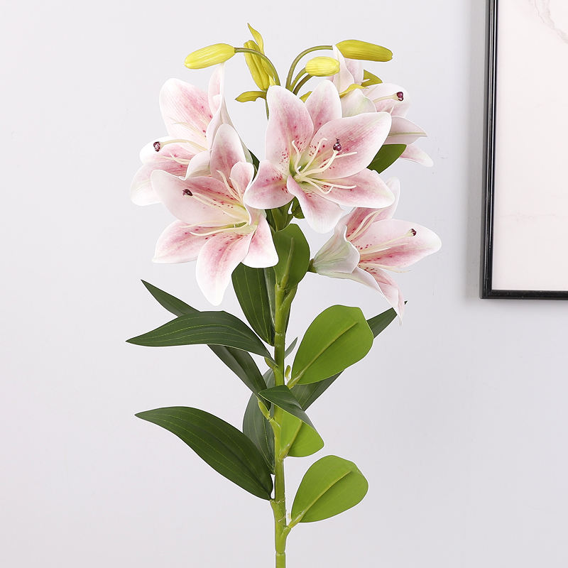 สีชมพูอ่อน