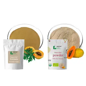 Échantillon gratuit poudre de papaye sèche/poudre de fruit de papaye/poudre d'extrait de feuille de papaye