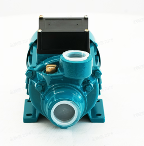 Pompe à vortex QB50, pompe à eau électrique de surface <span class=keywords><strong>pour</strong></span> l'irrigation agricole, l'<span class=keywords><strong>arrosage</strong></span> des jardins, haute efficacité, fournitures agricoles - Product Image 2