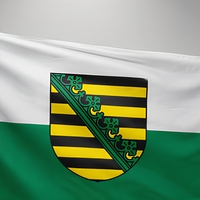 Drapeau de la Saxe 90 x 150 cm, bannière en polyester résistante aux intempéries, drapeau rectangulaire avec œillets en laiton pour affichage extérieur