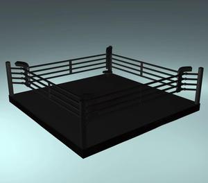 Ring de Boxe Élevé Professionnel – Warriors, <span class=keywords><strong>Libre</strong></span>, <span class=keywords><strong>Wrestling</strong></span>, <span class=keywords><strong>Lucha</strong></span>, Octogone, Hexagone, Cage MMA - Product Image 4